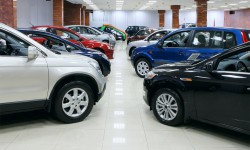 Suspendisse arcu nisl